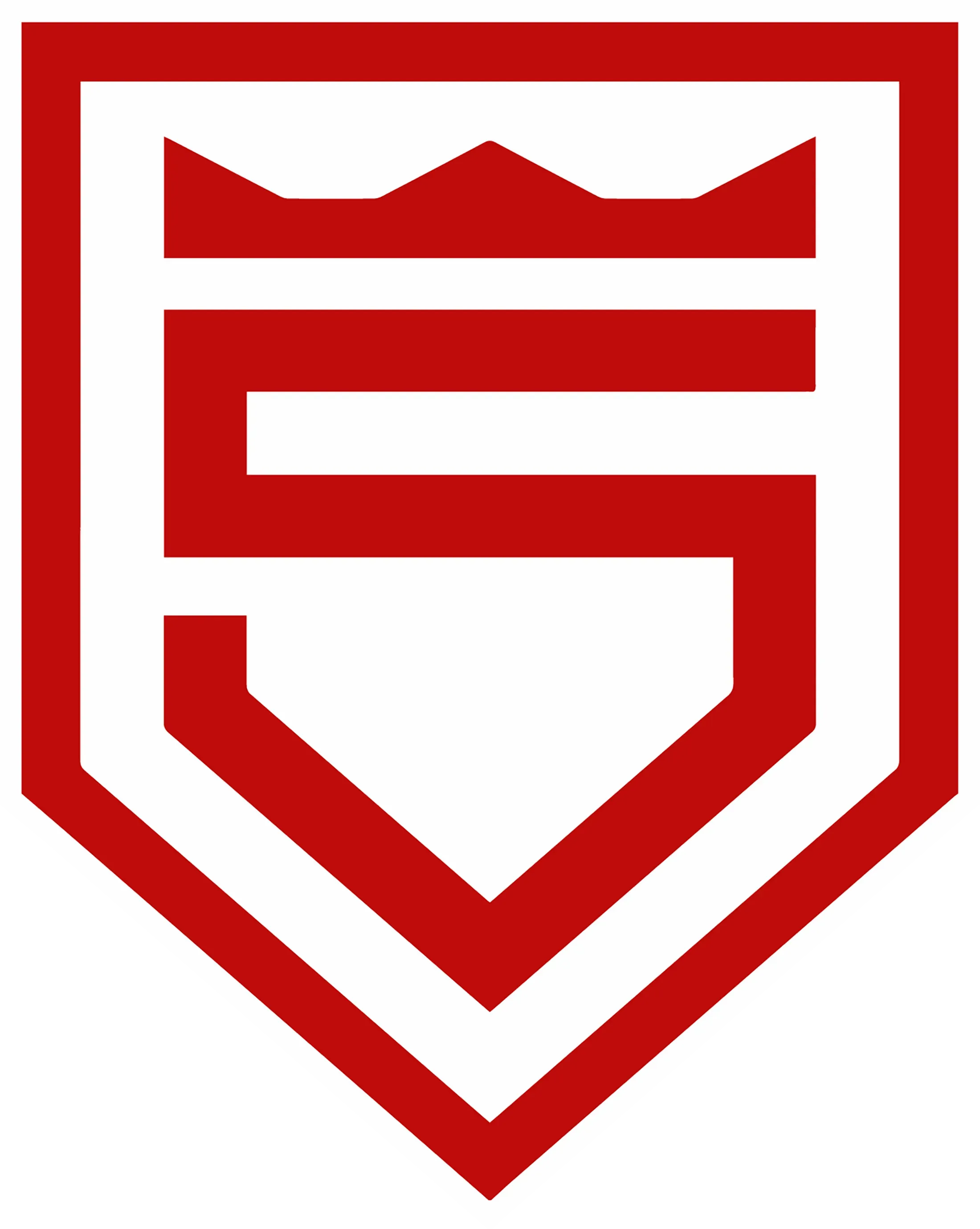 Sportfreunde Siegen von 1899 e.V.