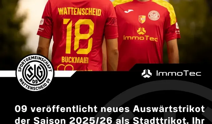 Neues Auswärtstrikot mit Stadtwappen und -farben